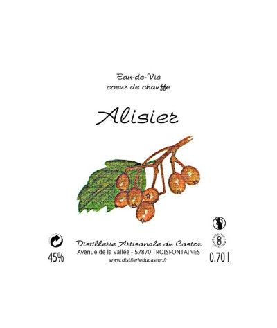 Alisier