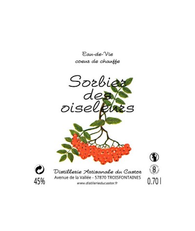 Sorbier des Oiseleurs